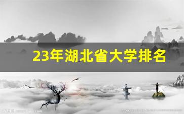 23年湖北省大学排名榜_湖北大学双一流稳了