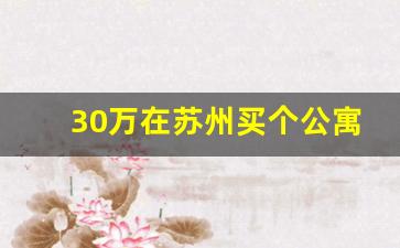 30万在苏州买个公寓可以不