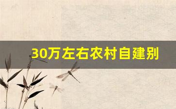 30万左右农村自建别墅_农村一层自建房简单实用