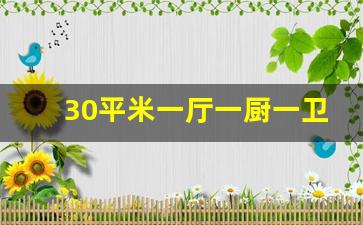 30平米一厅一厨一卫