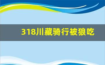 318川藏骑行被狼吃掉的人_遇到狼时千万别上树