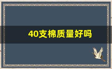 40支棉质量好吗