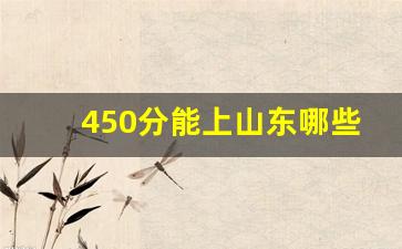 450分能上山东哪些二本大学