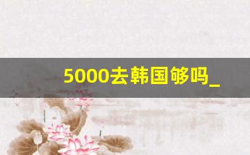 5000去韩国够吗_去趟日本大概花多少钱