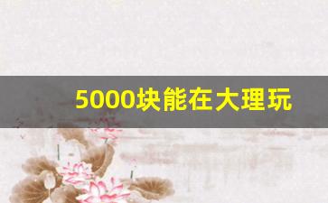 5000块能在大理玩多久_两个人去洱海5000够吗