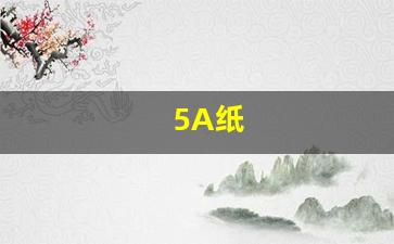 5A纸