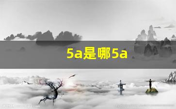 5a是哪5a