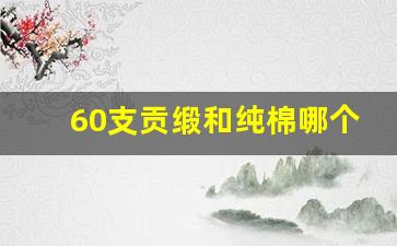 60支贡缎和纯棉哪个好_贡缎面料好还是纯棉好