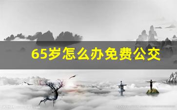 65岁怎么办免费公交卡_65岁能办老年公交卡吗