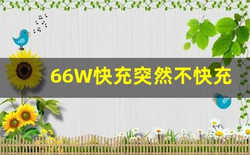 66W快充突然不快充了_荣耀手机66w快充变慢充