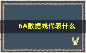 6A数据线代表什么