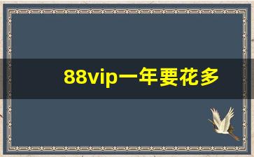 88vip一年要花多少钱_88vip会员价格