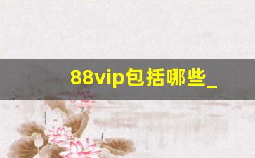 88vip包括哪些_88vip权限