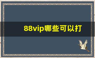 88vip哪些可以打折_淘宝88vip打几折