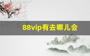 88vip有去哪儿会员吗_去哪儿网的vip用处大吗