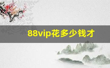 88vip花多少钱才能开通_88vip会员多少钱