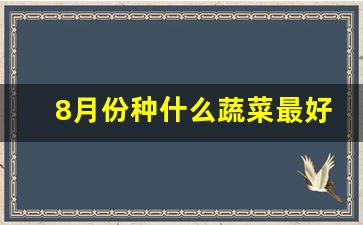 8月份种什么蔬菜最好