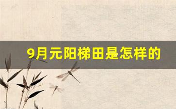 9月元阳梯田是怎样的_元阳梯田简介