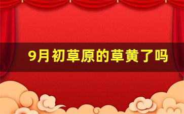 9月初草原的草黄了吗_草原九月份草黄了吗