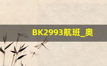 BK2993航班_奥凯bk2994航班动态