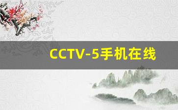 CCTV-5手机在线直播_TV电视直播软件