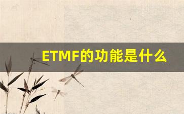 ETMF的功能是什么