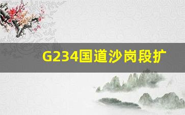 G234国道沙岗段扩建最新消息