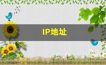 IP地址