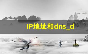 IP地址和dns_dns的ip是什么意思