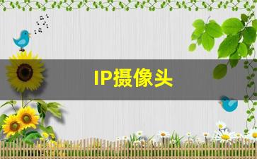 IP摄像头