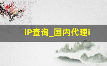 IP查询_国内代理ip免费