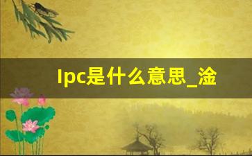 Ipc是什么意思_淦是什么意思