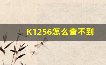 K1256怎么查不到了