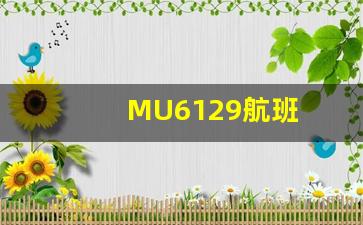 MU6129航班