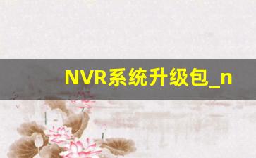 NVR系统升级包_nvr配套的app怎么下载