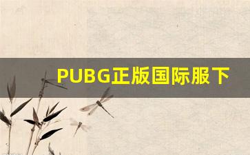 PUBG正版国际服下载