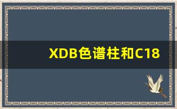 XDB色谱柱和C18区别_sbc18色谱柱sb是啥