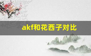 akf和花西子对比