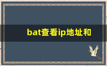 bat查看ip地址和mac地址