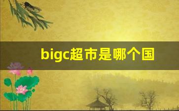 bigc超市是哪个国家的