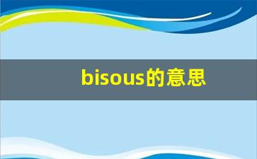 bisous的意思