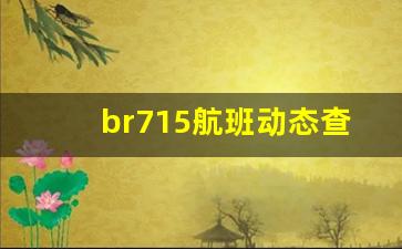 br715航班动态查询_br716