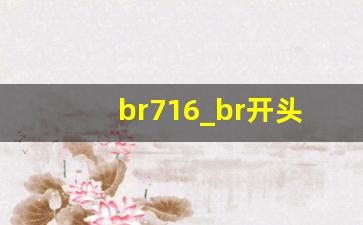 br716_br开头的航班