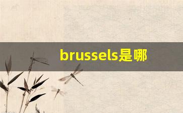 brussels是哪个城市