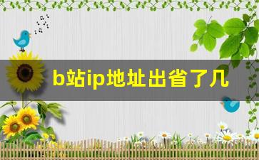 b站ip地址出省了几天才会变