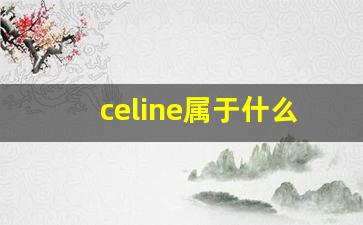 celine属于什么档次