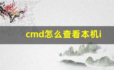 cmd怎么查看本机ip