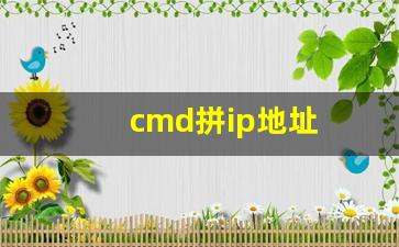 cmd拼ip地址