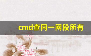 cmd查同一网段所有IP_扫描ip地址的软件