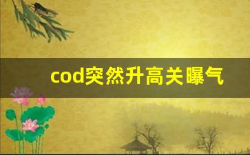 cod突然升高关曝气吗